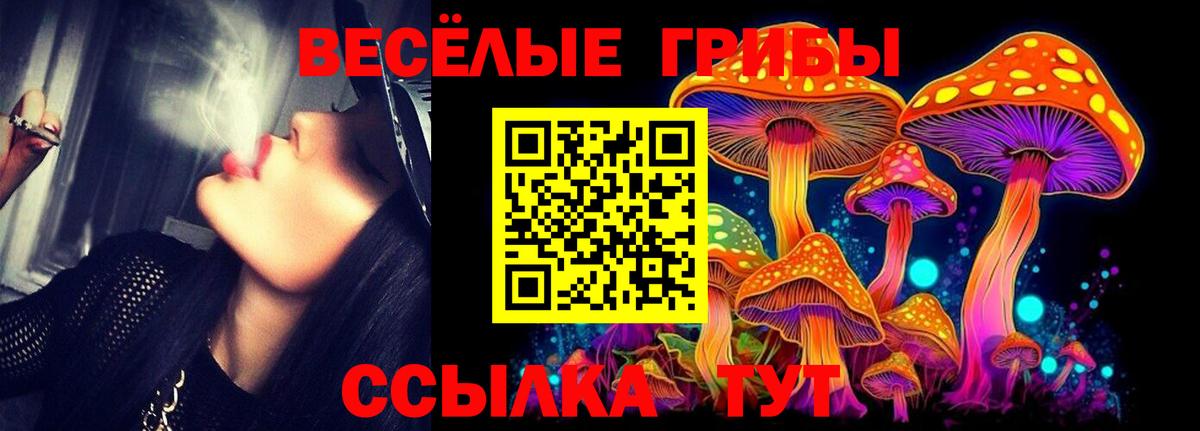 Галлюциногенные грибы GOLDEN TEACHER Тверь